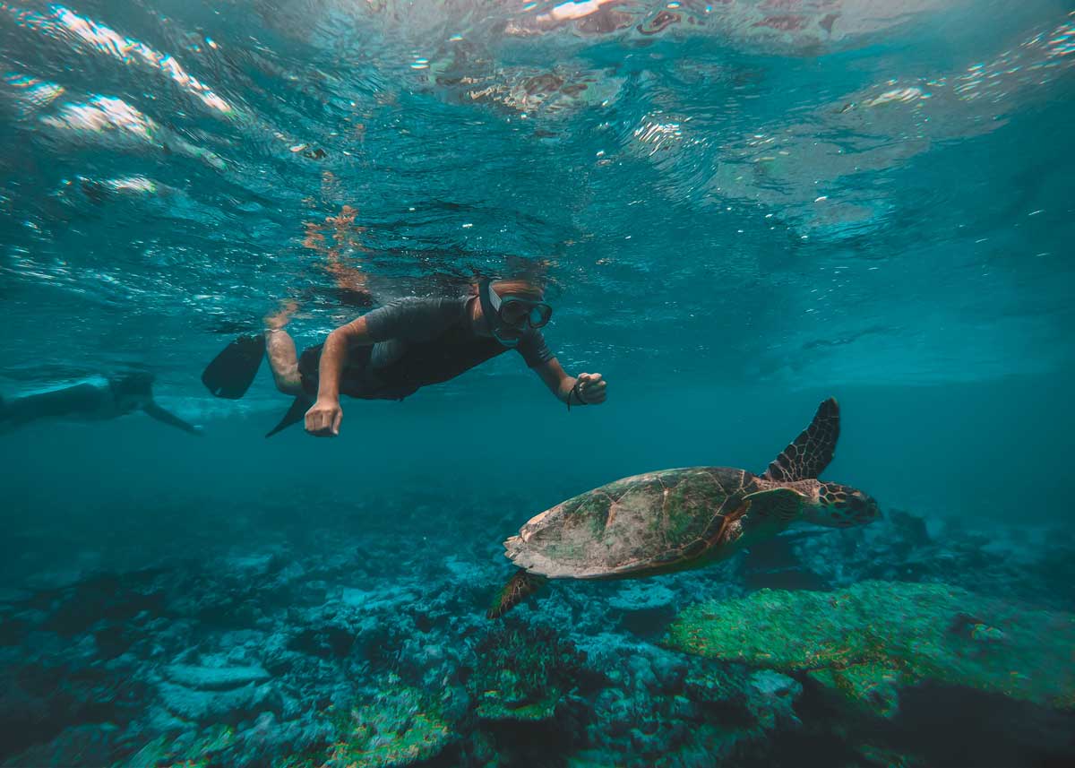 Paket Snorkeling Nusa Penida