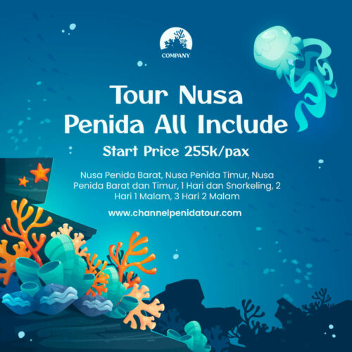 tour nusa penida bali